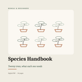 The Beginner's Species Handbook — 20 Trees, Month by Month