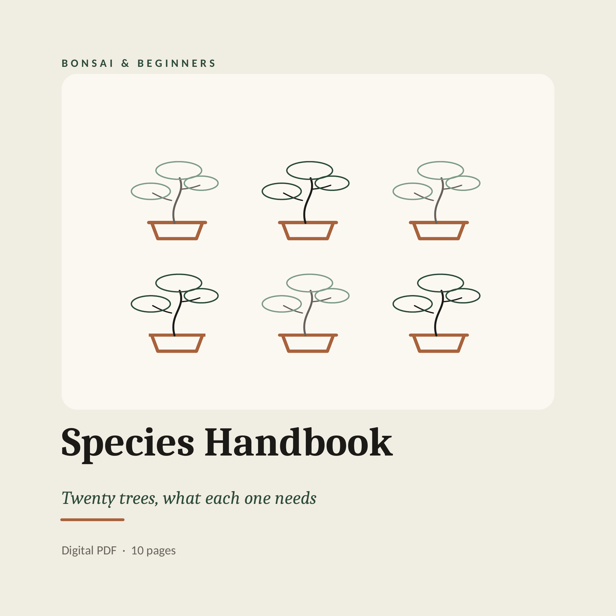 The Beginner's Species Handbook — 20 Trees, Month by Month
