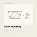 Soil & Repotting