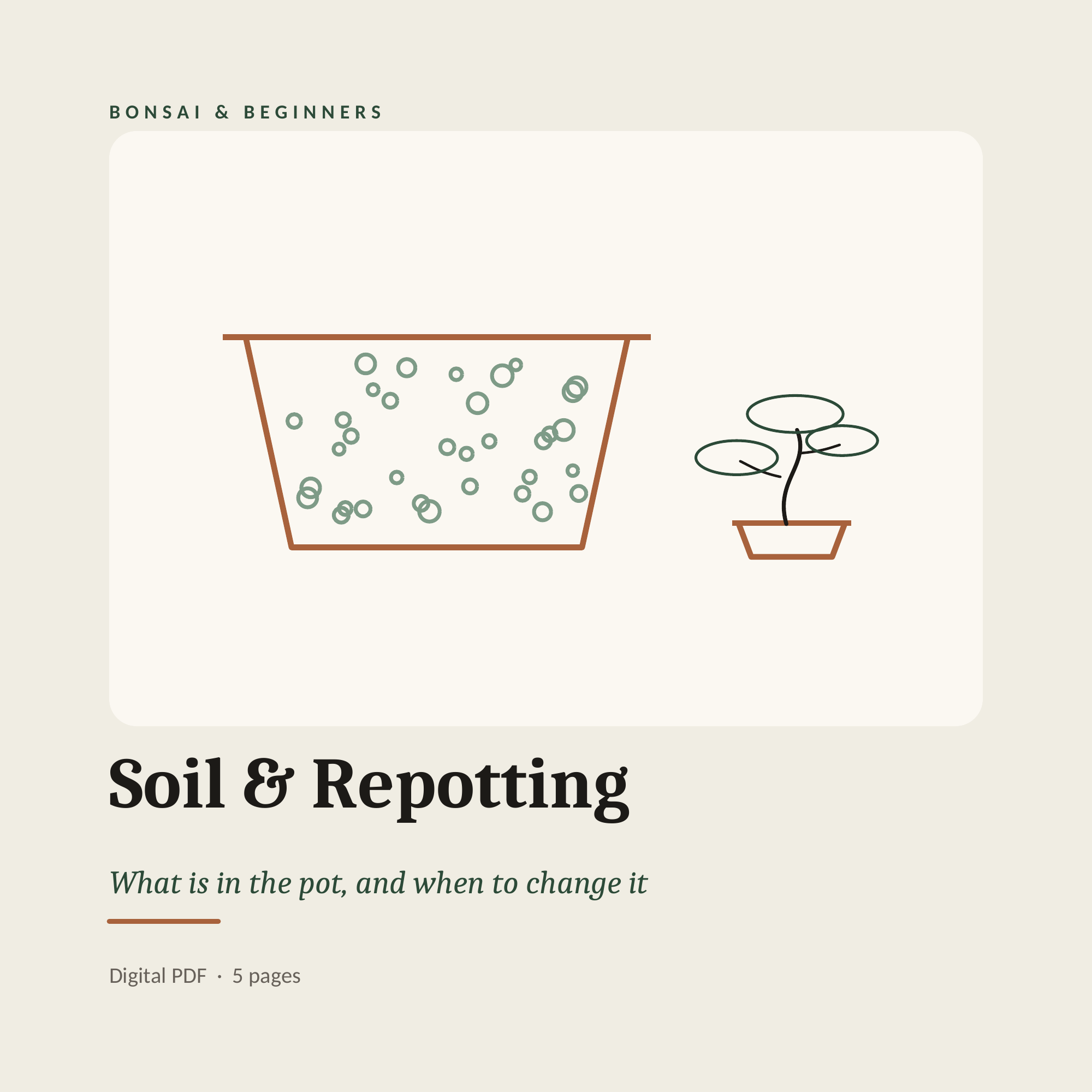 Soil & Repotting