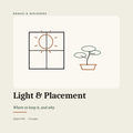 Light, Placement & Where to Keep It