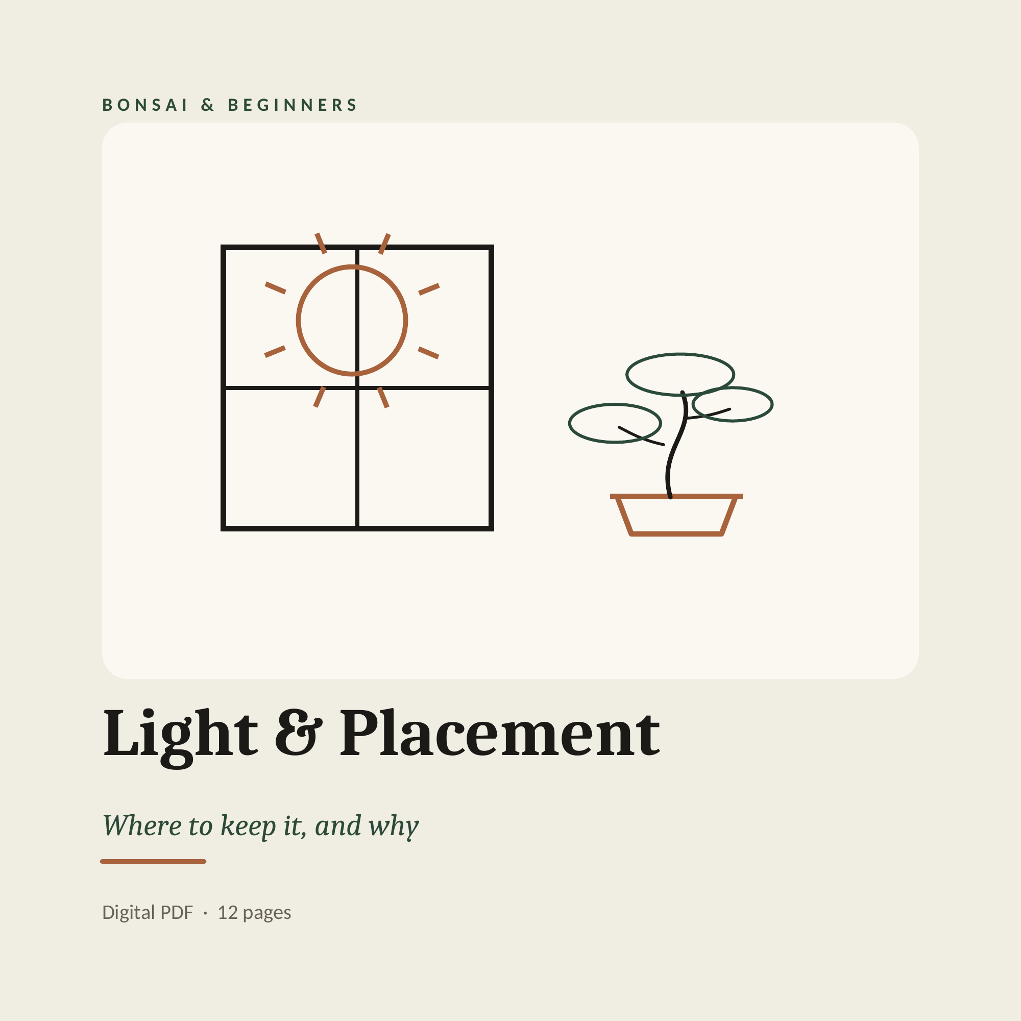 Light, Placement & Where to Keep It