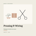 Pruning & Wiring — The First Two Years