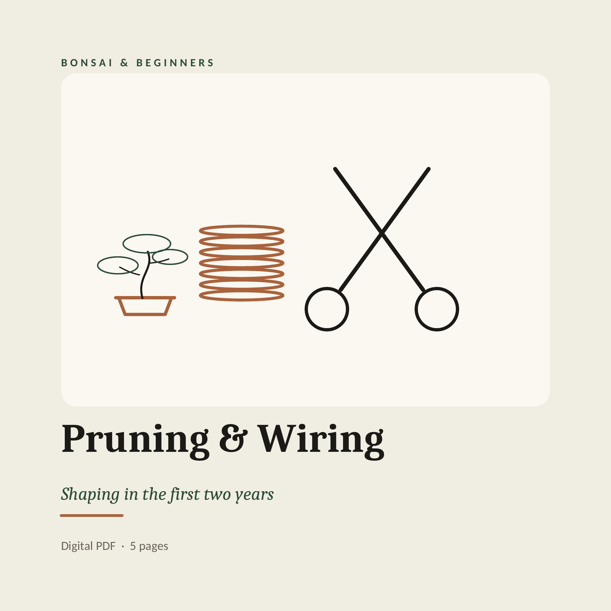 Pruning & Wiring — The First Two Years
