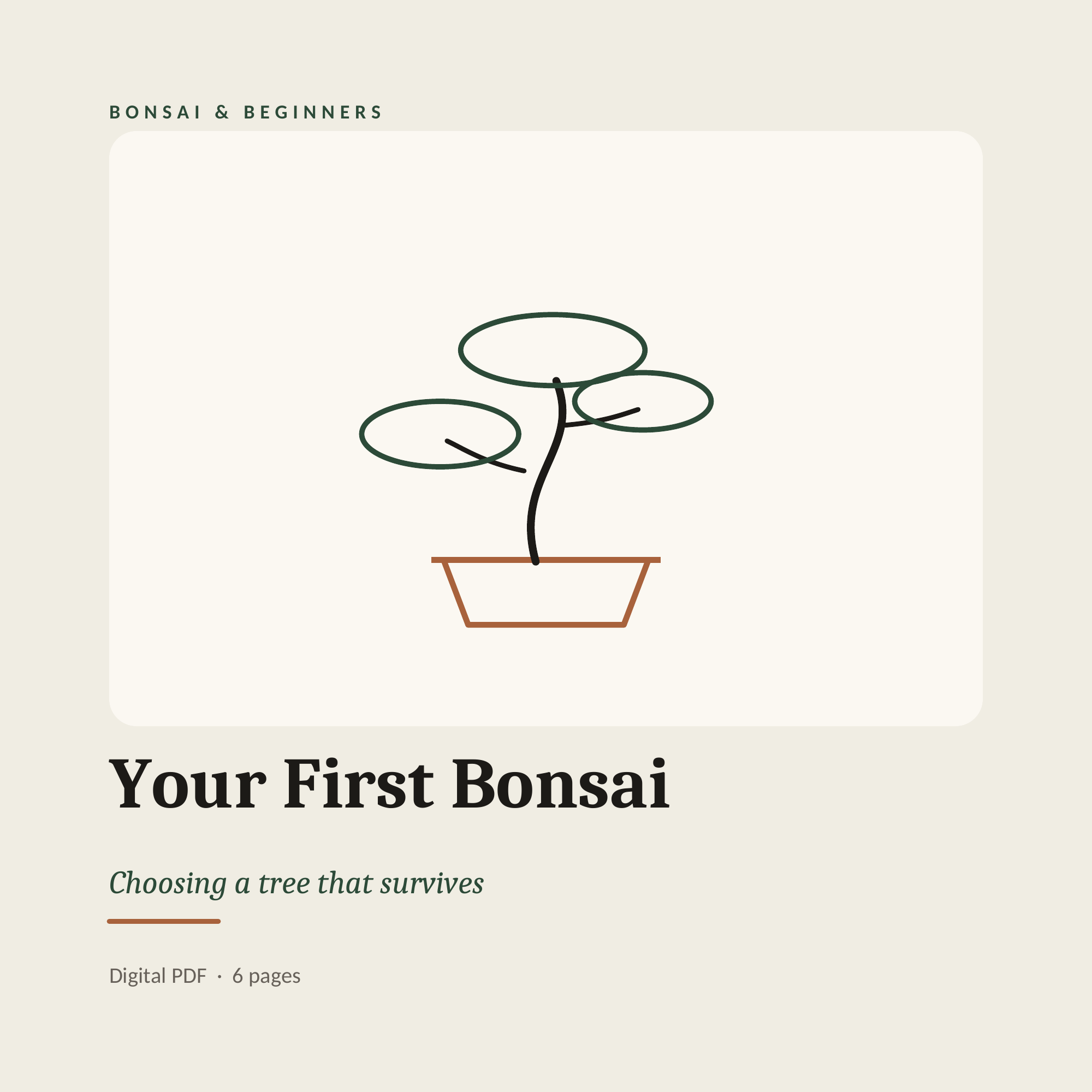 Your First Bonsai — Choosing a Tree That Survives
